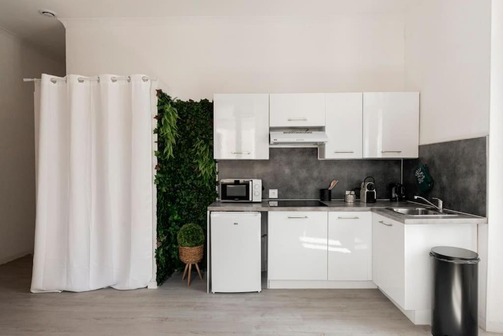 Charmant Studio Arbore Et Climatise Carcassonne Eksteriør bilde